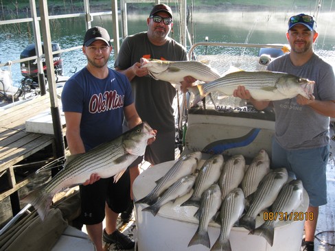 Nice Striped Bass